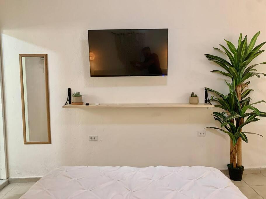 شقة Casa Anuiti Centrica Ubicacion. San José del Cabo المظهر الخارجي الصورة